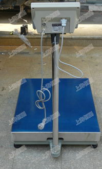 30 1000kg電子臺秤工廠